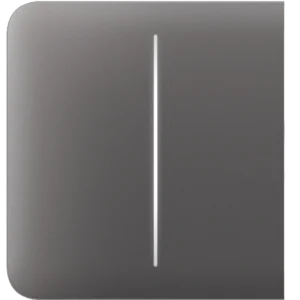 Ajax SideButton (2-gang) [55] grey Кнопка