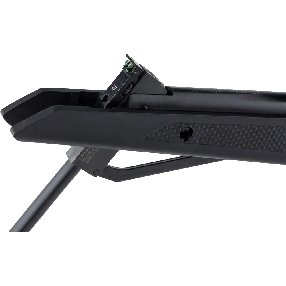 Beeman Longhorn GR Пневматична гвинтівка 4,5 мм 365 м/с - Зображення 4