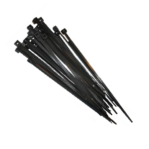 courbi20025