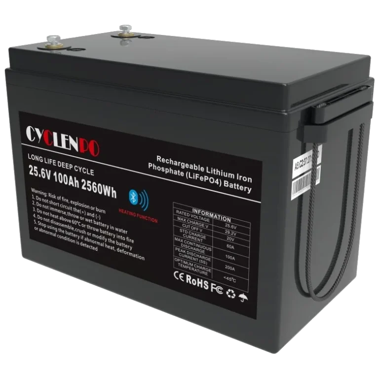 cyclen-25-6v-100a