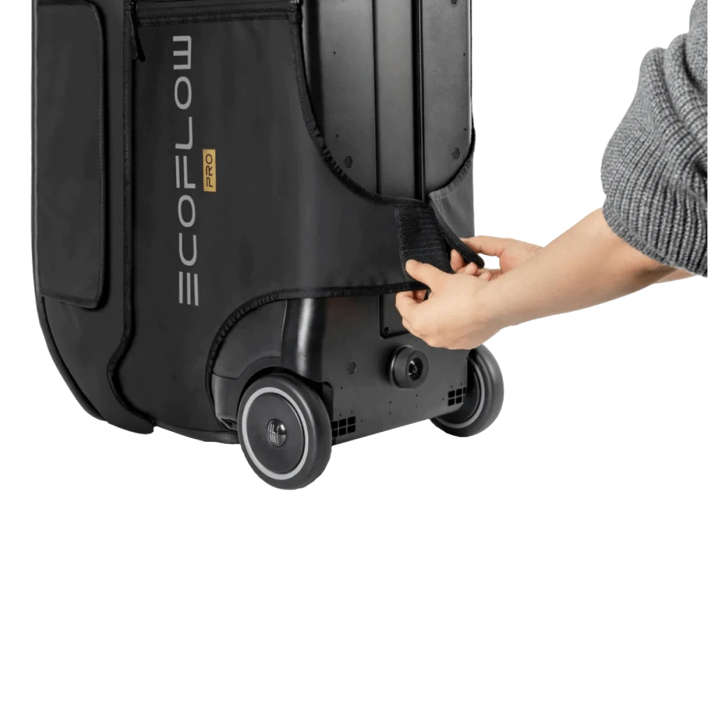 EcoFlow DELTA Pro Bag Сумка - Зображення 4