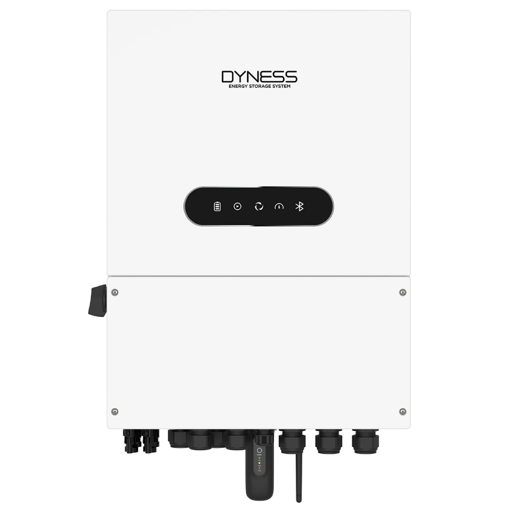 Dyness 6.0L-1P-A 6кВт 48В однофазний низьковольтний чиста синусоїда Інвертор