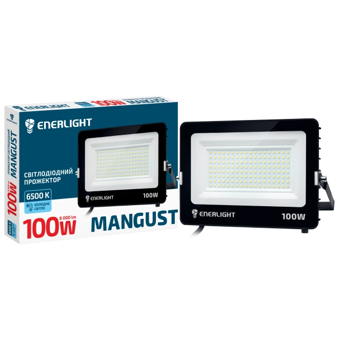 ENERLIGHT MANGUST Прожектор світлодіодний 100Вт 6500K