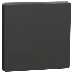 Schneider Electric Merten System Design MTN3300-6034 Клавіша