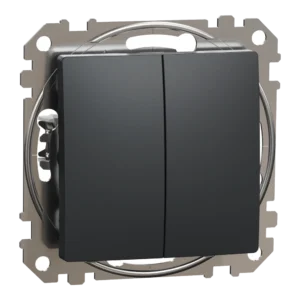 Schneider Electric Sedna Design & Elements SDD214105 Двоклавішний вимикач