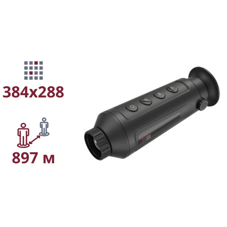 taipan_tm19-384