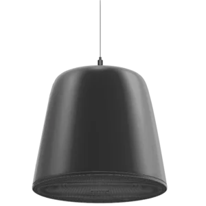 Hikvision DS-QAZ1510G1-BE підвісний Мережевий динамік