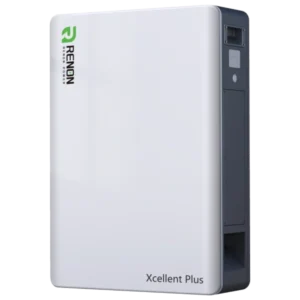 Renon Xcellent Plus 51.2В 314А•г Літієва акумуляторна батарея