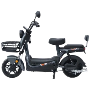 Maxxter E1000 (Gray) Електроскутер