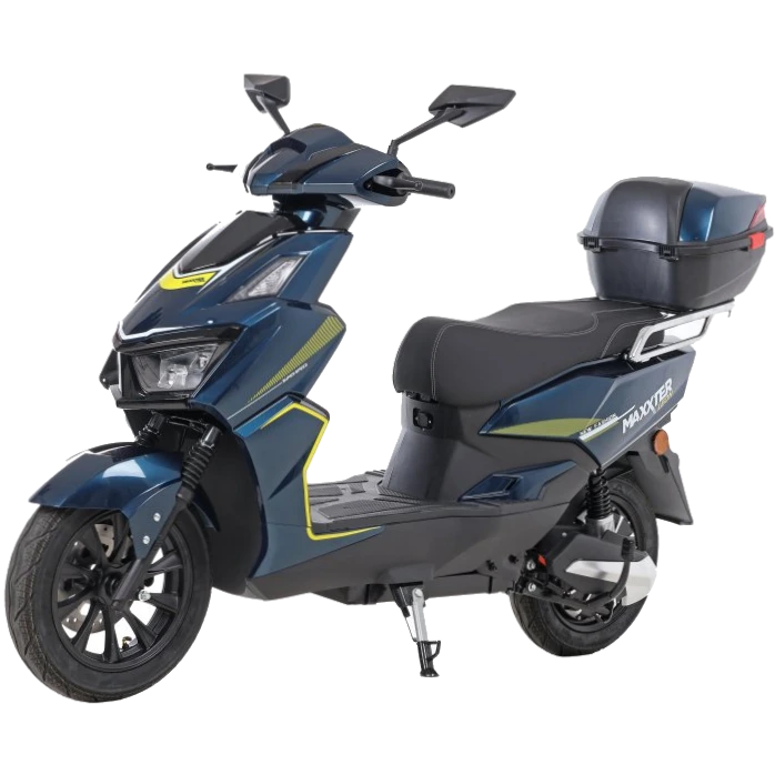 maxxterleonblue